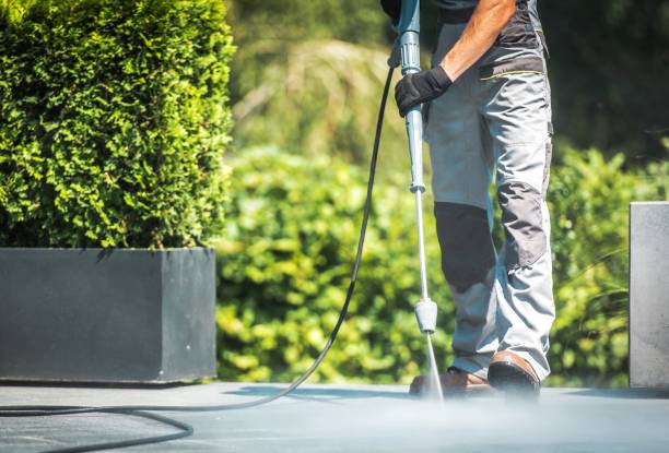 Best Animal Enclosure Cleaning  in Lake Butler, FL
